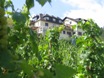 Gaestezimmer und Ferienwohnung mit Aussicht auf der Mosel